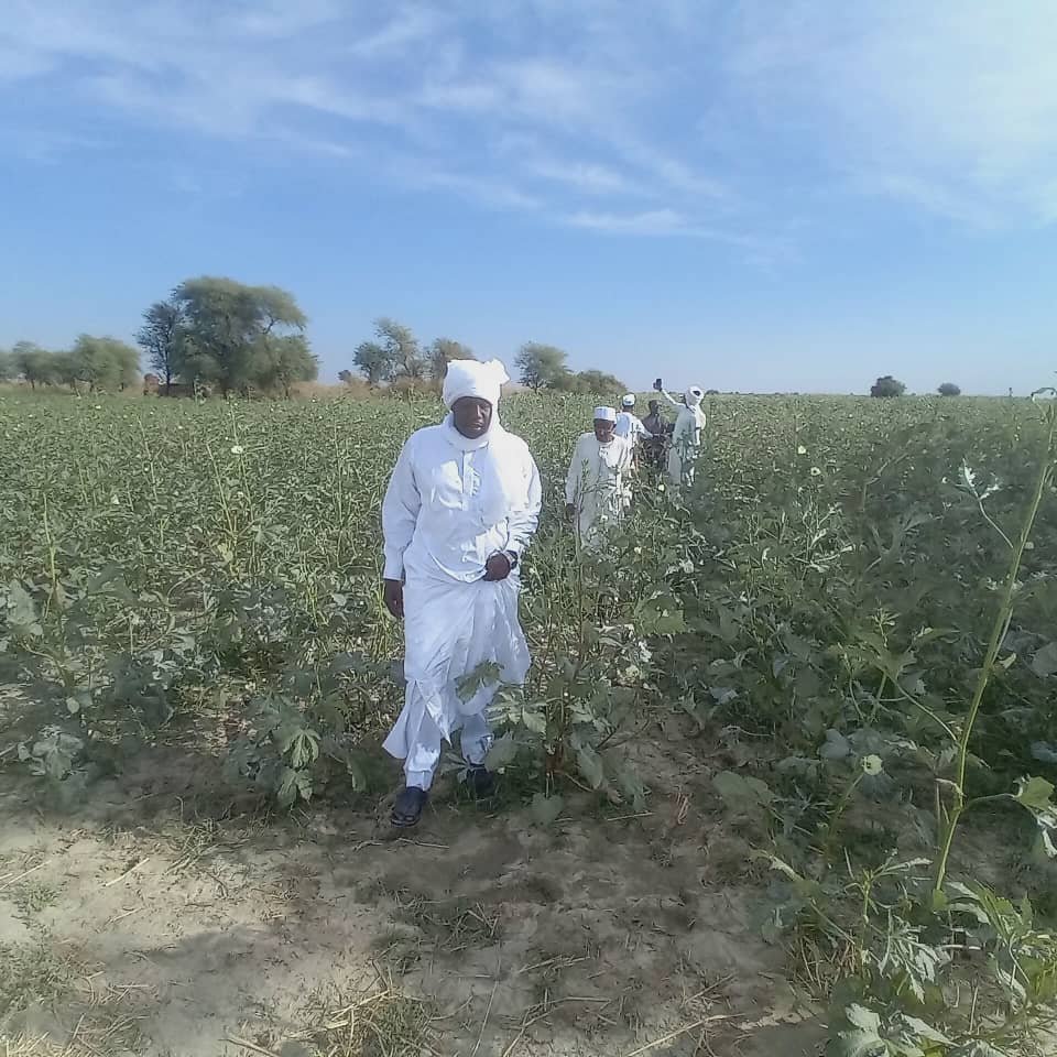 Distribution semences