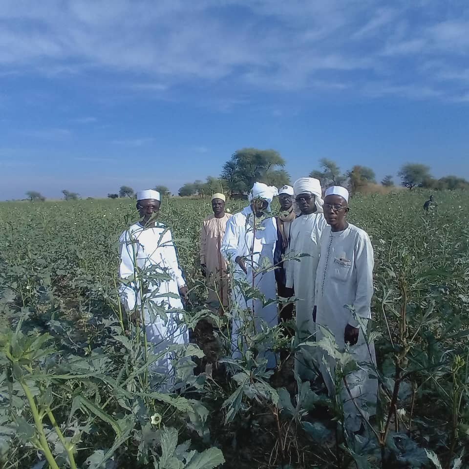 Distribution semences